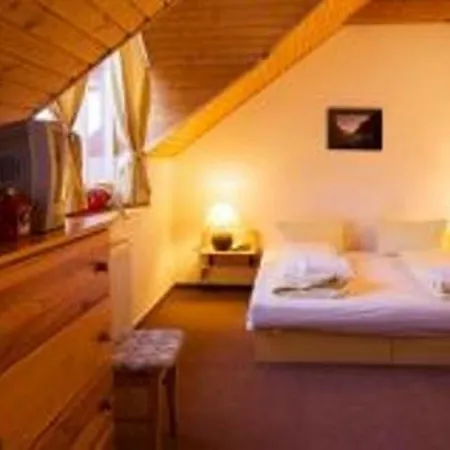 Bed & Breakfast Penzion2004 Stara Lesna